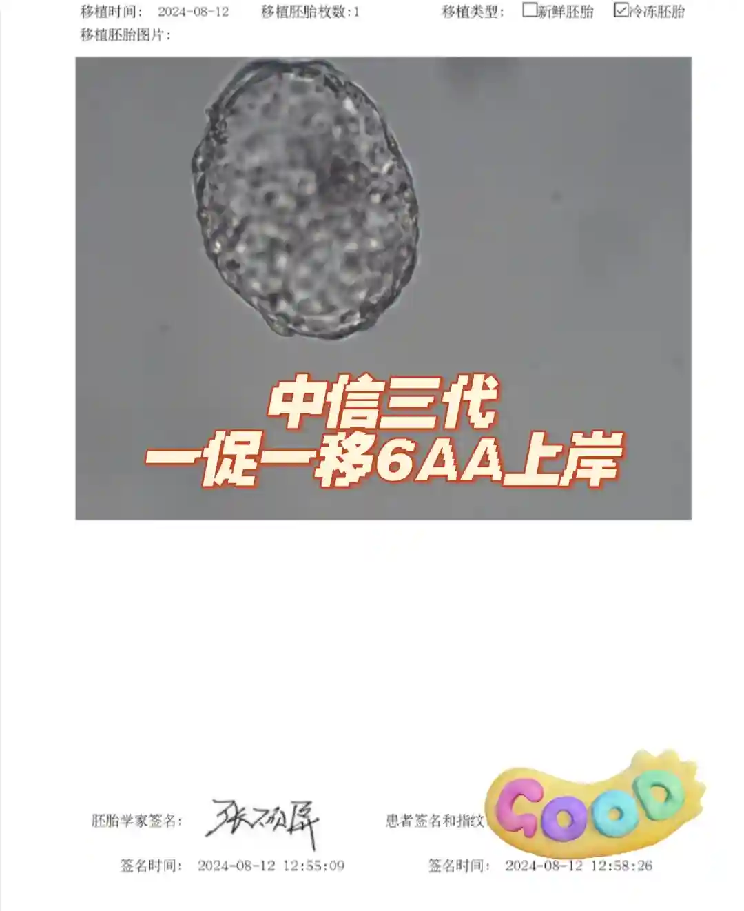 中信湘雅三代一促一移6AA，Nt上岸 第三代试管代孕吧
