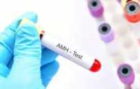 探寻补肾壮阳佳品：特色食谱与中药指南